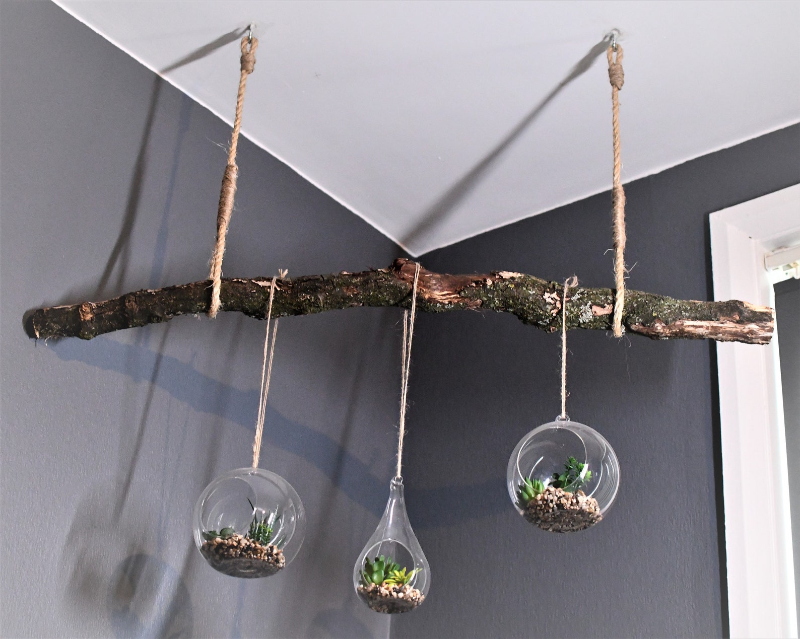 Branch Ceiling Hanging Hanging Foliage Plant Hanger Ceiling Etsy