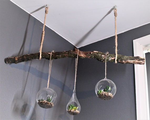 Branch Ceiling Hanging, Hanging Foliage, Plant Hanger, Ceiling Plant Hanger,  Succulents, Succulent Wall Hanging, Plant Hanger -  Canada