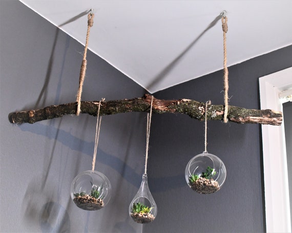 Ceiling 2024 plant light