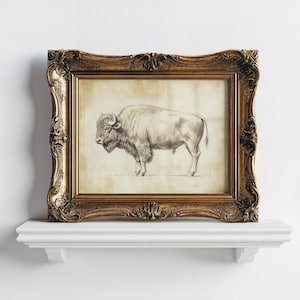 Vintage Bison Sketch Print, Farmhouse Decor, Bison Wall Art, Antique Bison Print, Dark Tones Wall Art, Nature Wall Art, Pencil Bison Drawing