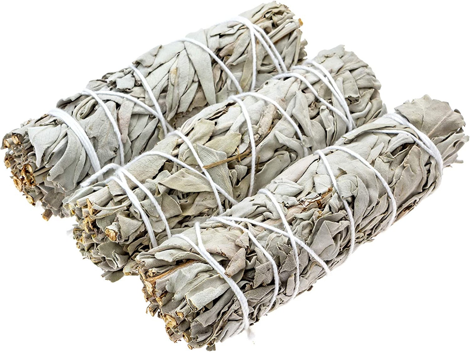 White Sage Smudge Stick Sage burner Shell Tray Meditate Etsy