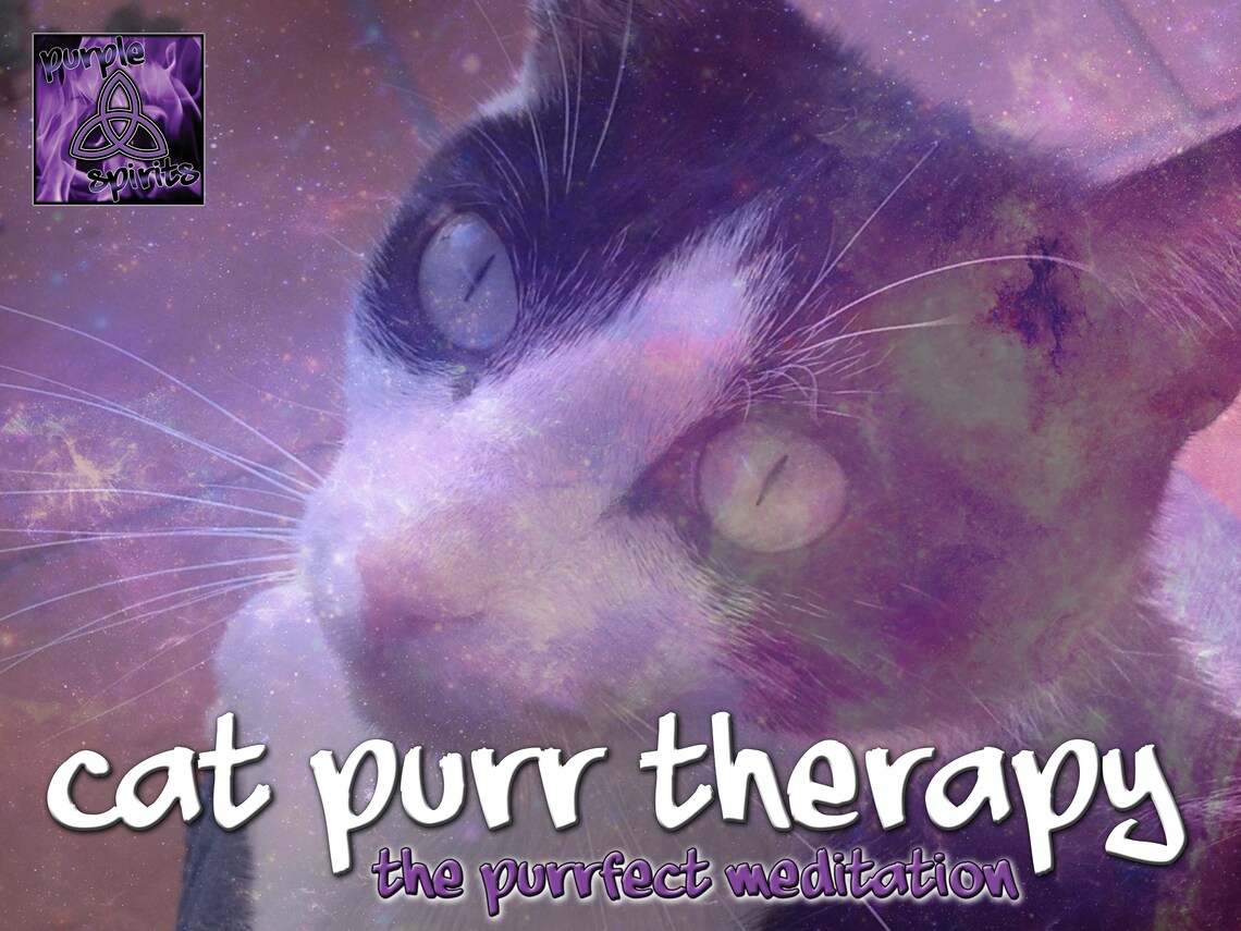 Healing Cat Purr Music Animal Sound Healing Audio Track Etsy