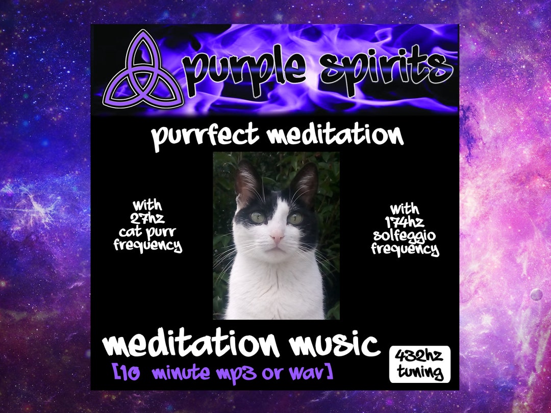 Picture of Healing Cat Purr Music es el regalo de gato perfecto para las - Etsy España