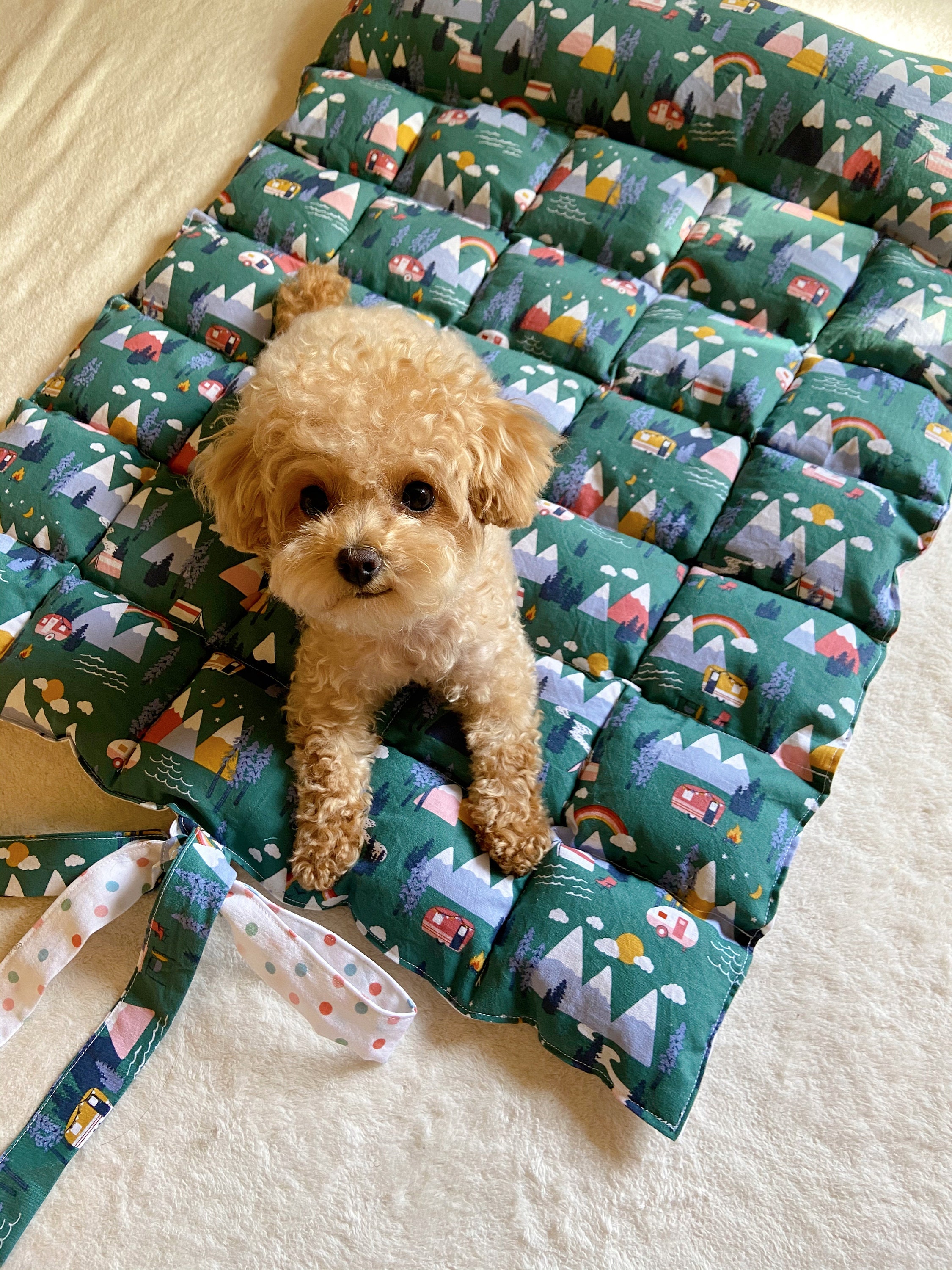 Dog travel bed / roll up mat / foldable pet bed / handmade dog Etsy