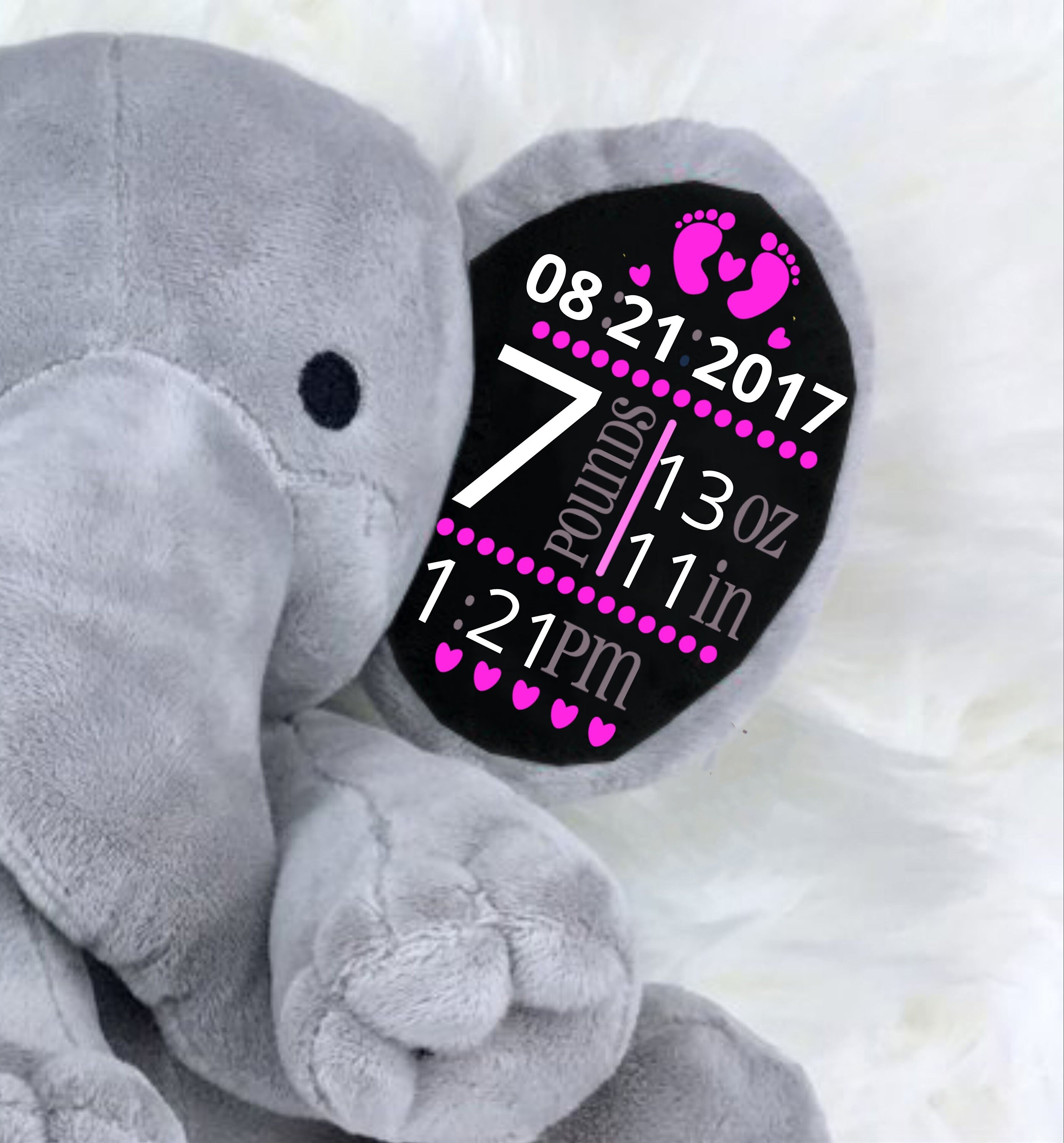 Free Free 97 Elephant Announcement Svg SVG PNG EPS DXF File