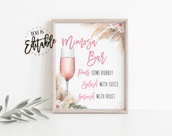 Mimosa Bar Sign, Boho Birthday, Pink Floral, Bridal Shower, Pampas Grass, Brunch And Bubbly Sign, Pampas Floral, Champagne, Rose, Drink Menu
