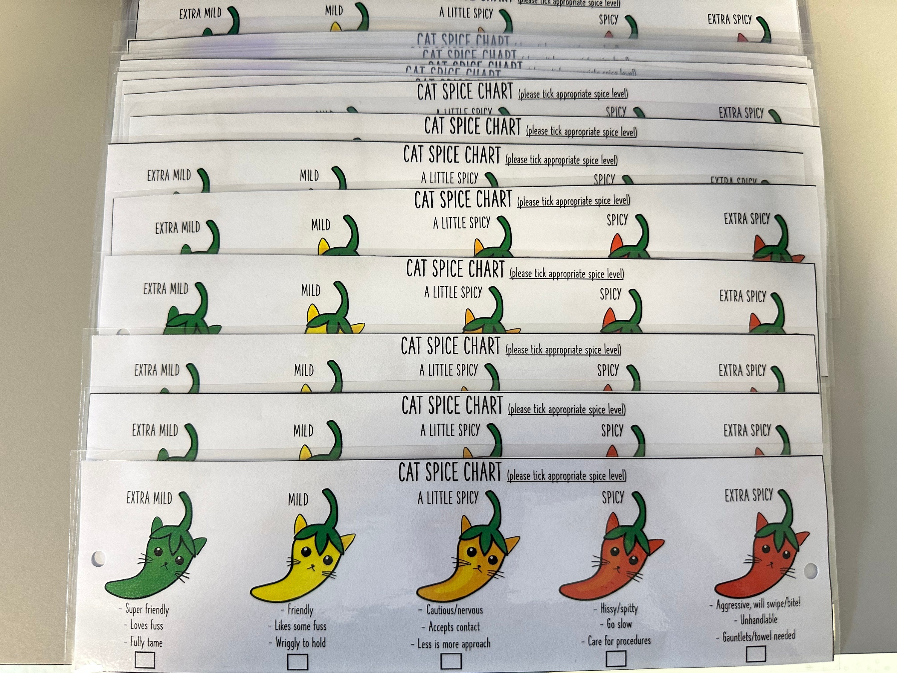 Cat Spice Chart Etsy UK Cat Spice Chart Etsy UK