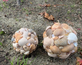 Decorative Sea Shell Ball | Sea Shell Decorations| Shell Art| Beach Decor