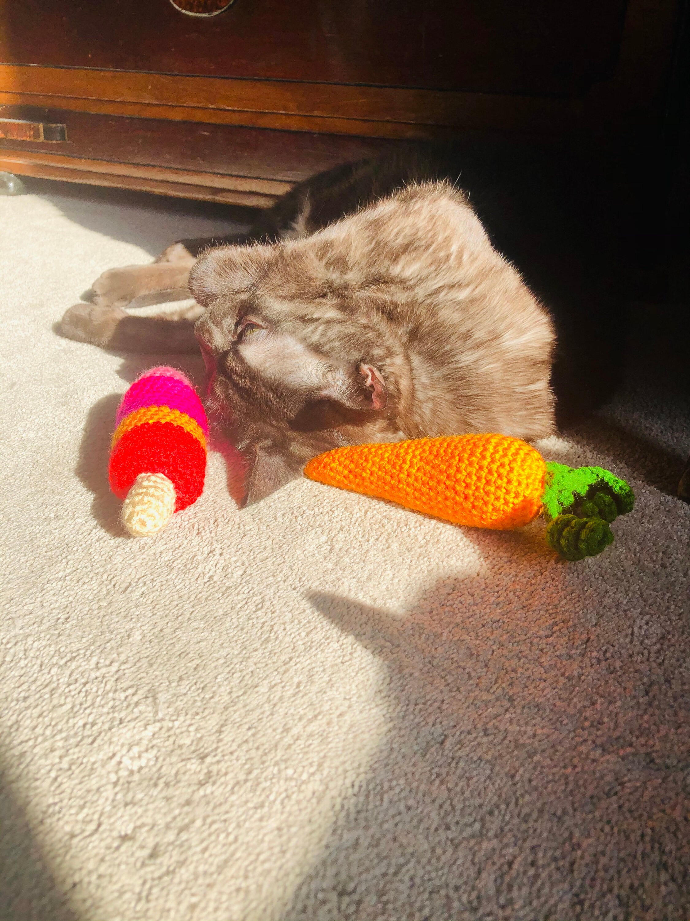 Carrot Cat Toy/Carrot Kicker/Crochet Carrot/Crochet Cat Etsy