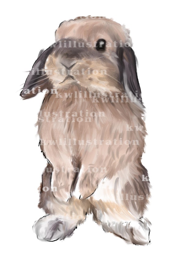 Sutty Farn Kaninchen - Etsy sterreich