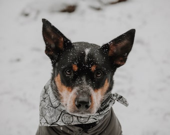 Wood Rounds Bandanna