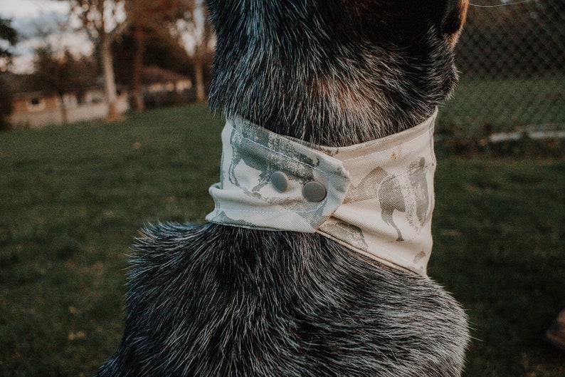 May include: A close-up of a dog wearing a light gray and white bandana with a pattern of stylized animals. The bandana has two snap closures.
