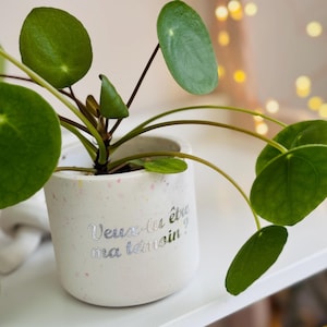 May include: A small, round-leafed plant in a speckled white ceramic pot. The pot has the text "Veux-tu être ma témoin?" in silver lettering. The plant is on a white shelf with blurred lights in the background.