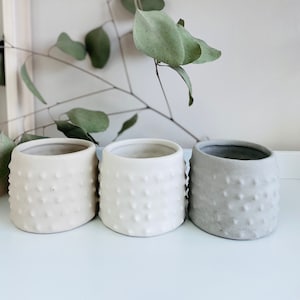 May include: Three small, round, textured ceramic planters in white and gray. The planters have a raised dot pattern.