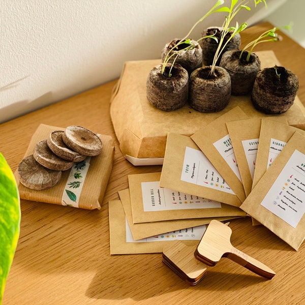 Kit de démarrage à la culture des herbes aromatiques | Idéale pour les jardiniers débutants | Activité pour enfant et adultes