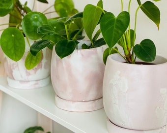 Grijsroze plantenbak 11 cm | Afvoerpot & schaal | Vaas van droogbloemen | Handgemaakt beton