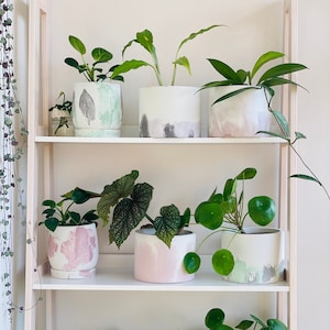 Peut inclure: Une étagère en bois blanche présentant diverses plantes en pot. Les pots cylindriques sont décorés de motifs peints dans des tons de gris, rose et vert. Les plantes ont un feuillage vert, créant un affichage vibrant.