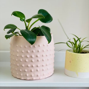 Scandinavian Flower Pot | Planter Bubble | Mint Turquoise Green | Jesmonite Decoration