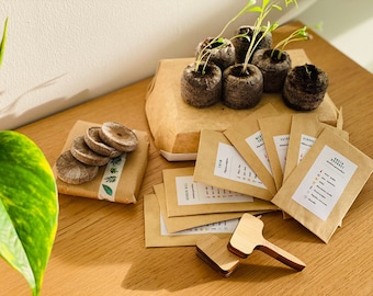 Kit de démarrage à la culture des herbes aromatiques | Idéale pour les jardiniers débutants | Activité pour enfant et adultes