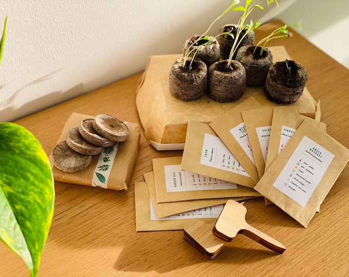 Starter kit for growing aromatic herbs | Ideal for beginner gardeners | Activity for children and adults