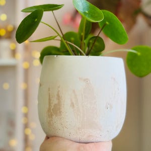 Pode incluir: Uma planta verde de folhas em um vaso de concreto oval de cor cinza claro com um design marmorizado marrom claro.