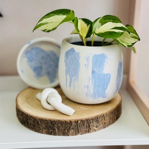 Pode incluir: Um vaso de cer&acirc;mica branco com pinceladas azuis, apresentando uma planta verde e branca variegada. O vaso est&aacute; sentado em uma fatia de madeira com um n&oacute; de cer&acirc;mica branco.