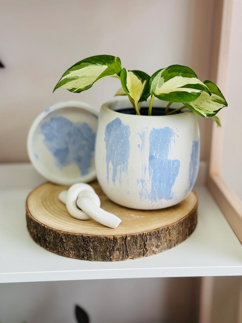 Pode incluir: Um vaso de cer&acirc;mica branco com pinceladas azuis, apresentando uma planta verde e branca variegada. O vaso est&aacute; sentado em uma fatia de madeira com um n&oacute; de cer&acirc;mica branco.