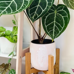 Maceta Bohemia Crackle Grande | 16 x 18 cm | Rosa, Terracota, Gris, Crema, Verde Lima