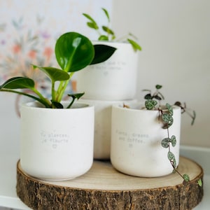 Regalo per gli amanti delle piante dipendenti | Testo inciso su mini vaso |. Idea natalizia creativa originale