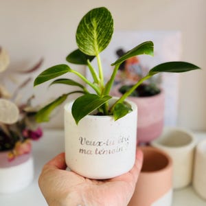 May include: A small potted plant with green and yellow leaves in a white speckled ceramic pot. The pot has the text "Veux-tu être ma témoin ?" in silver lettering. Other decorative pots are in the background.