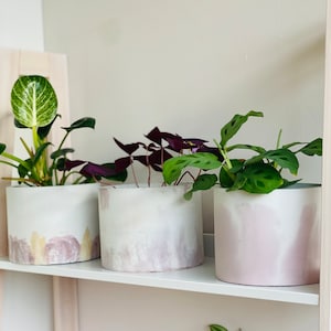Concrete Plant Pot | Cement planter With text | Indoor Plants Customized