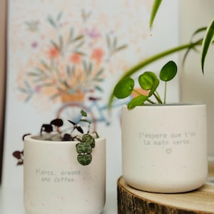 Può includere: Due piccoli vasi in ceramica rosa chiaro maculato con piante. Un vaso ha il testo "Plants, dreams and coffee". L'altro vaso ha il testo "J'espère que t'as la main verte". I vasi sono su una superficie bianca e una fetta di legno.