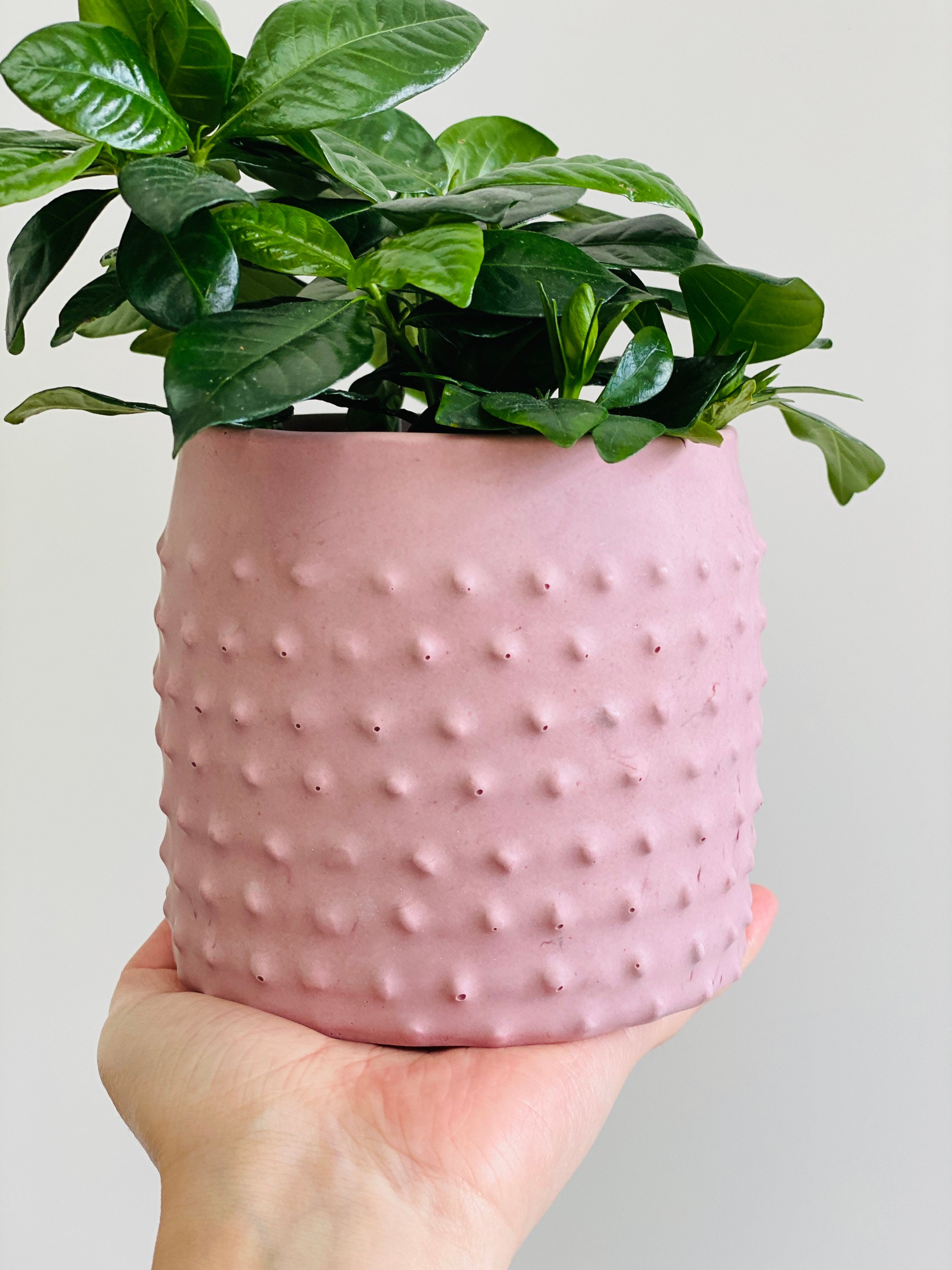Cache-Pot Design Bulle | Jesmonite Rose Terracotta Pot Fleur Style Nordique