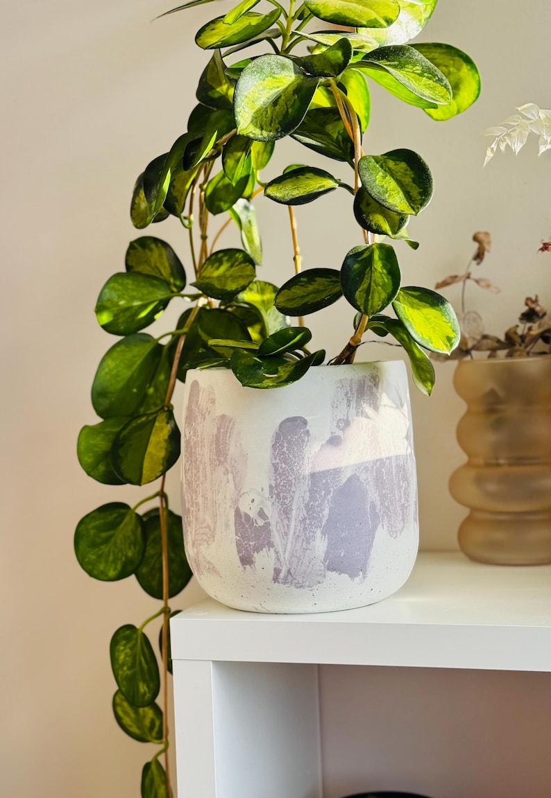 May include: A white ceramic plant pot with a lavender abstract design, holding a trailing plant with green and yellow leaves. The pot sits on a white shelf, showcasing a modern, minimalist aesthetic.