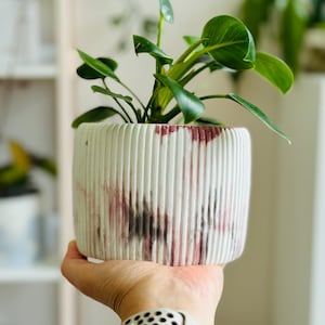Puede incluir: Una pequeña maceta cilíndrica blanca con detalles acanalados verticales y una salpicadura de pintura burdeos y negra. La maceta contiene una planta verde vibrante con hojas grandes y brillantes. La maceta se sostiene en una mano, lo que sugiere un enfoque en la decoración del hogar y la jardinería.