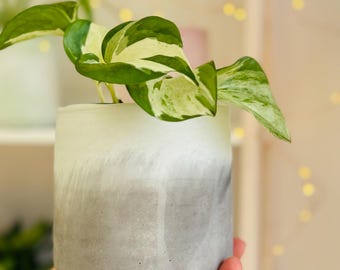 Betonnen bloempot | Interieurdecoratie | Tuinman 9 11 CM | Onregelmatige golvende rand
