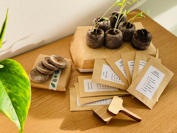 Kit de démarrage à la culture des herbes aromatiques | Idéale pour les jardiniers débutants | Activité pour enfant et adultes