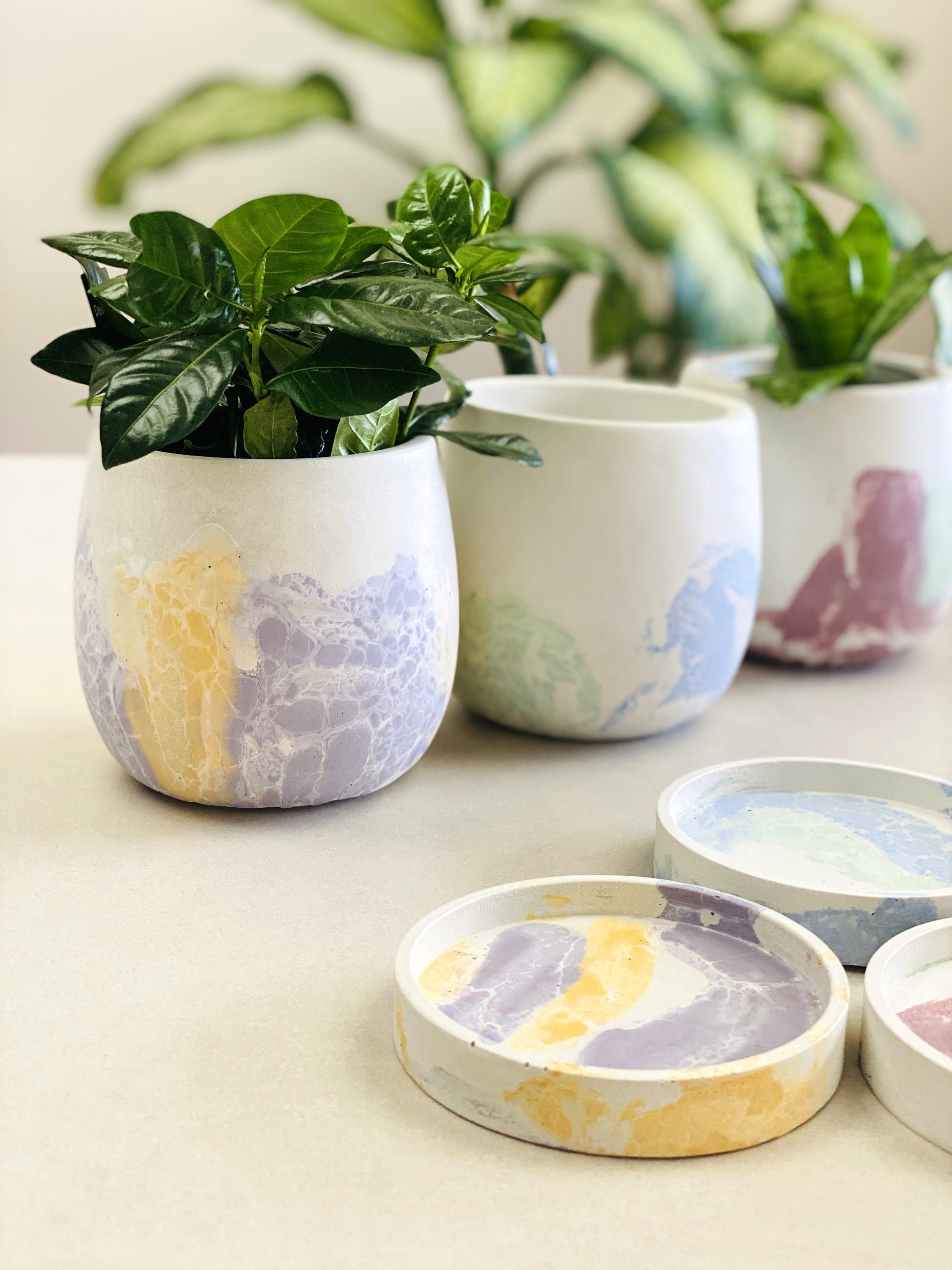 Pot Fleur & Soucoupe Design Japandi | Cache Pot 11 cm Blanc, Pastel Motif Craquelé