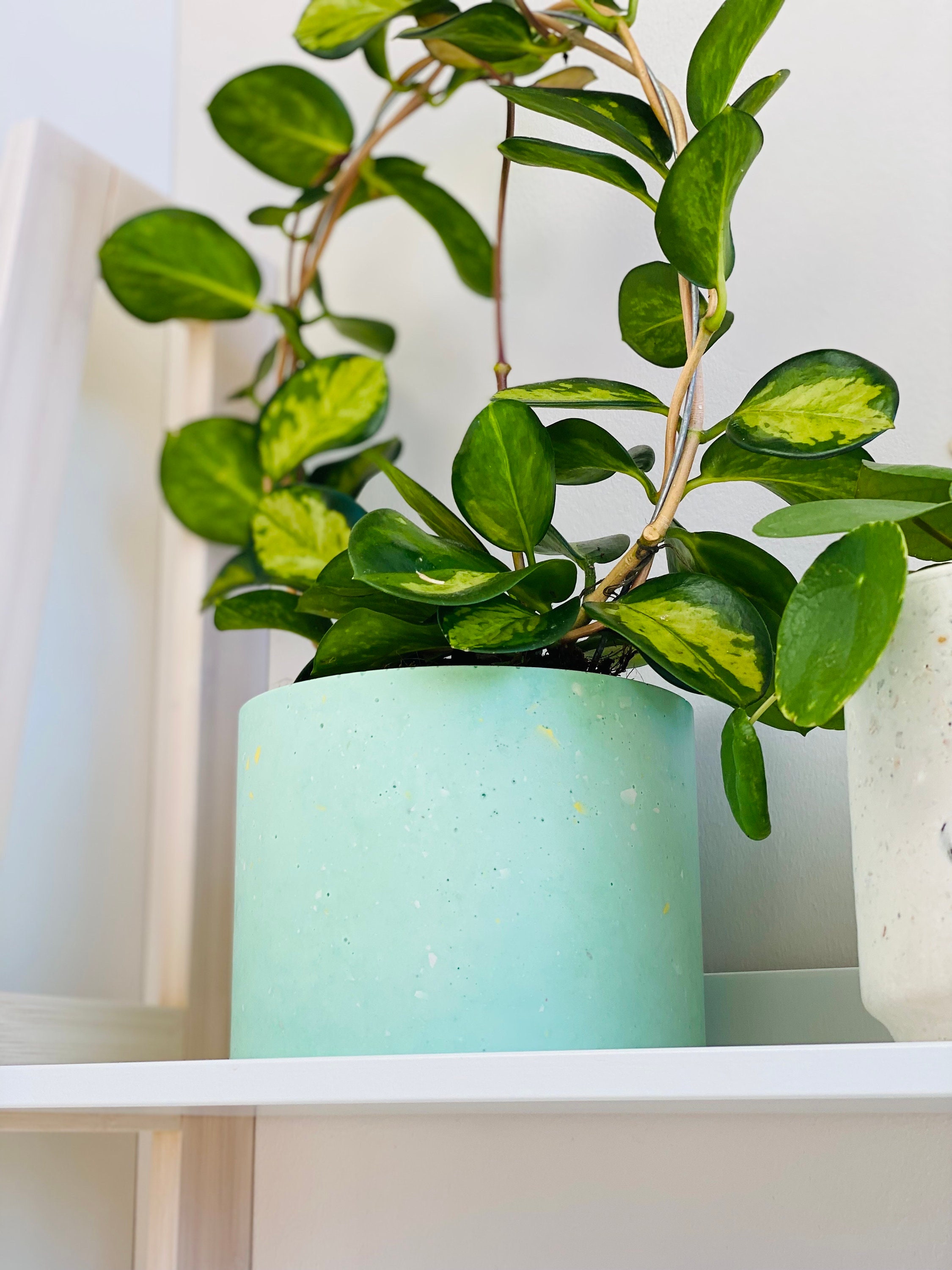 Handgefertigter blättriger Keramik-Blumentopf in Grün- und Rosatönen –  Grüne Wurzeln