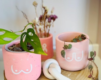 Mini Pot Vase | Pink October | Breast Cancer Awareness | Rubin Rose Fight