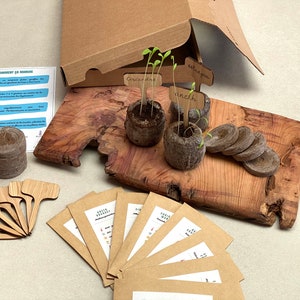 Puede incluir: Un kit de jardiner&iacute;a con paquetes de semillas de papel marr&oacute;n, marcadores de plantas de madera y peque&ntilde;as macetas de turba con pl&aacute;ntulas. Las pl&aacute;ntulas est&aacute;n etiquetadas con etiquetas de madera que dicen "coriandre", "aneth" y "estragon".