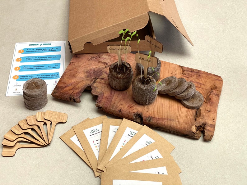 Puede incluir: Un kit de jardiner&iacute;a con paquetes de semillas de papel marr&oacute;n, marcadores de plantas de madera y peque&ntilde;as macetas de turba con pl&aacute;ntulas. Las pl&aacute;ntulas est&aacute;n etiquetadas con etiquetas de madera que dicen "coriandre", "aneth" y "estragon".