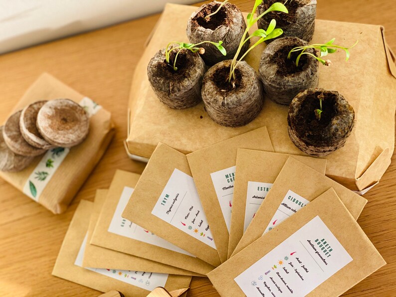 Puede incluir: Un conjunto de paquetes de papel marr&oacute;n con etiquetas para diferentes tipos de semillas. Los paquetes est&aacute;n dispuestos sobre una superficie de madera junto a una caja que contiene peque&ntilde;as macetas marrones con pl&aacute;ntulas que crecen.