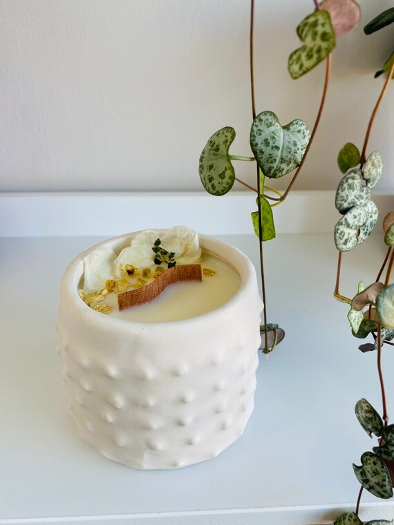 Pot Fleur & Soucoupe Design Japandi Cache pot 11 CM Blanc, Pastel