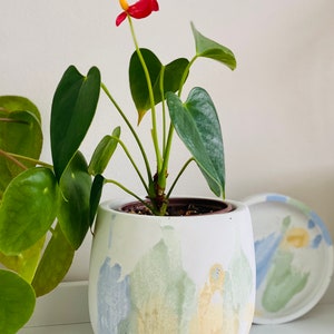 Japandi Design Bloempot & Schotel | Bloempot 11 CM Wit, Pastel | Gebarsten patroon Vert Bleu Jaune