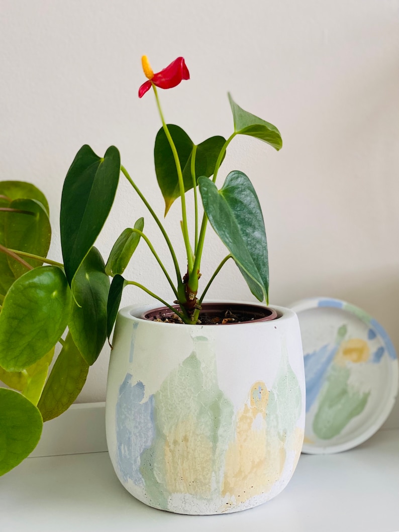 Japandi Design Bloempot & Schotel | Bloempot 11 CM Wit, Pastel | Gebarsten patroon Vert Bleu Jaune