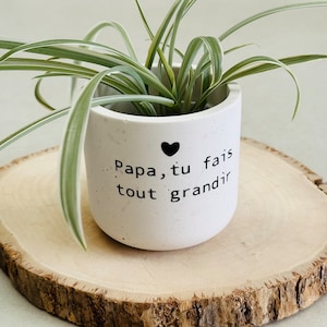 Op de afbeelding: Witte betonnen plantenbak met een klein groen plantje. De plantenbak heeft zwarte tekst die "Papa, tu fais tout grandir" luidt met een klein hartje.