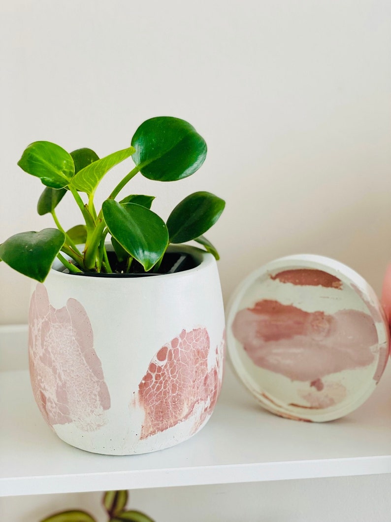 Pode incluir: Um vaso branco com desenhos abstratos rosa, com uma planta verde em vaso com folhas redondas. O vaso tem uma tampa combinando.