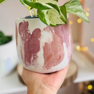 Pode incluir: Um vaso de cimento branco e rosa com uma planta verde e branca variegada crescendo dentro. O vaso tem um design texturizado e abstrato.