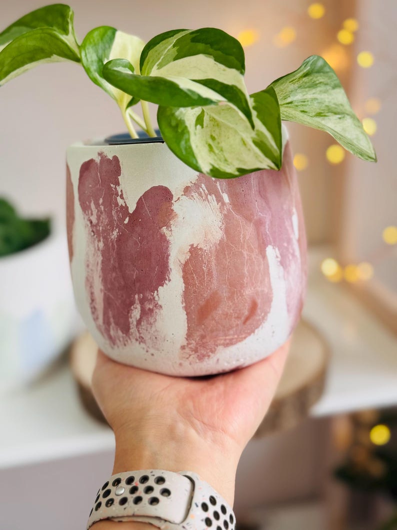 Pode incluir: Um vaso de cimento branco e rosa com uma planta verde e branca variegada crescendo dentro. O vaso tem um design texturizado e abstrato.